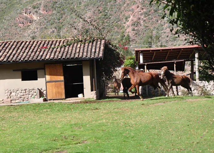 Valle Dorado
