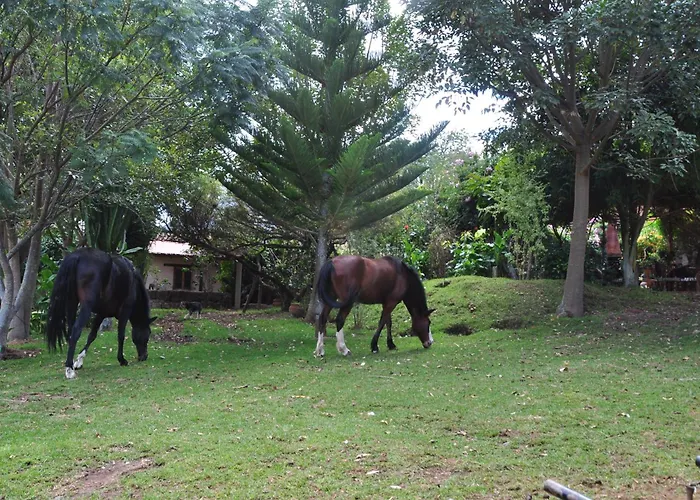 Lodge Valle Dorado