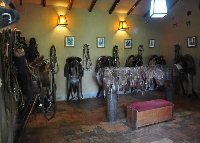 Valle Dorado Lodge *